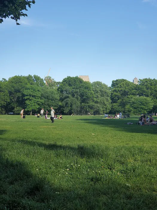 The Great Lawn Picture 9