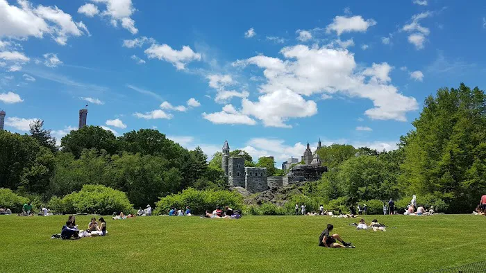 The Great Lawn Picture 3