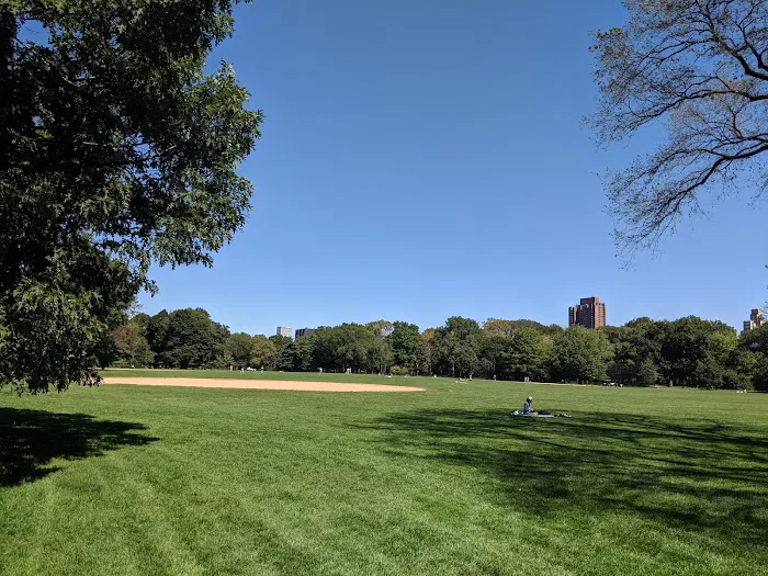 The Great Lawn Picture 10