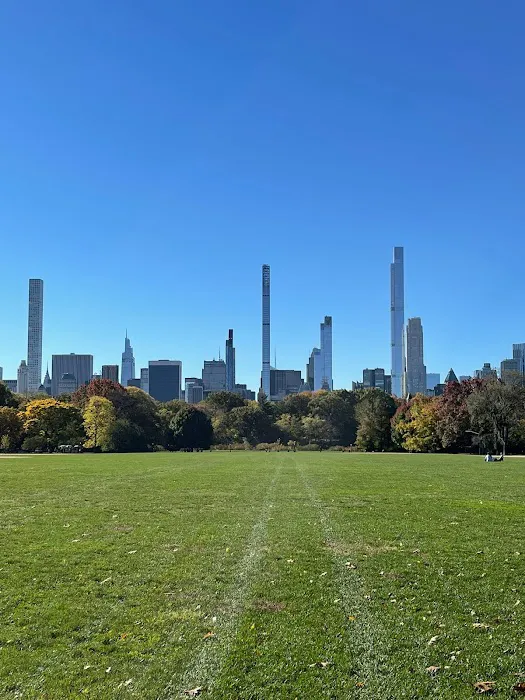 The Great Lawn Picture 2