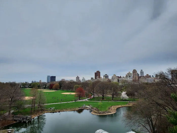 The Great Lawn Picture 1