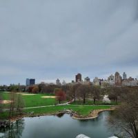 The Great Lawn ico