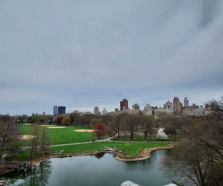The Great Lawn