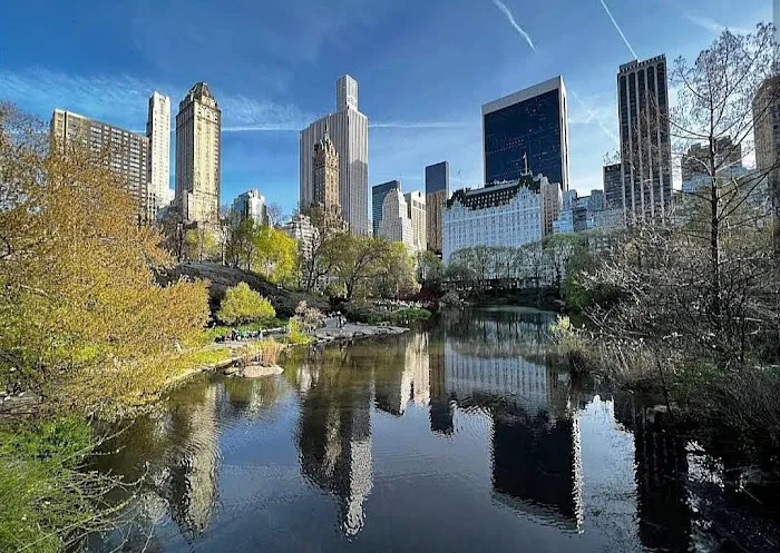 Central Park Picture 2