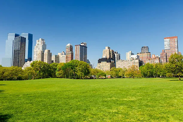 Central Park Picture 1