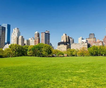 Central Park