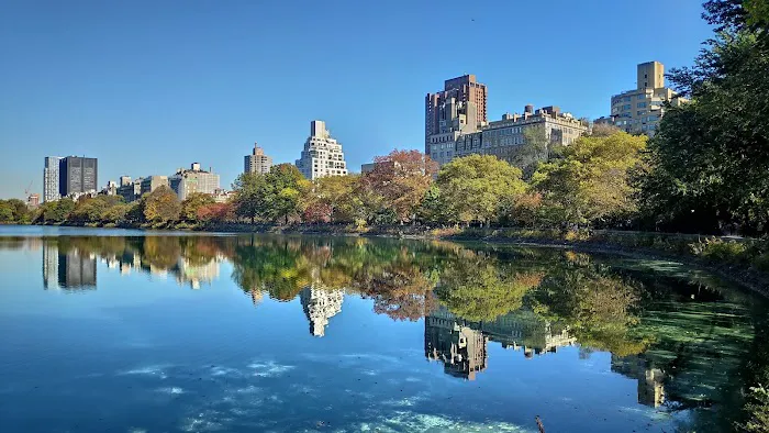 Central Park Picture 8