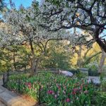 Charles B. Stover Bench