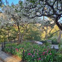 Charles B. Stover Bench ico