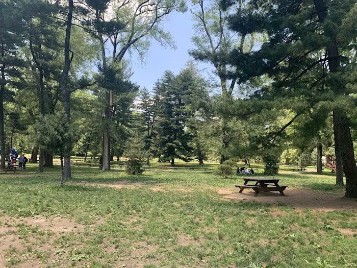 Arthur Ross Pinetum Picture 6