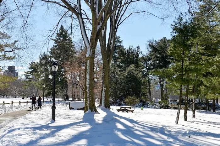 Arthur Ross Pinetum Picture 1