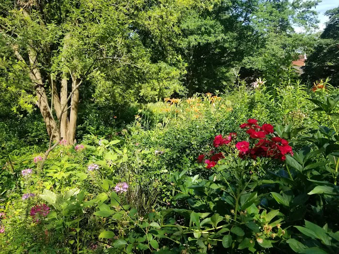 Shakespeare Garden Picture 4
