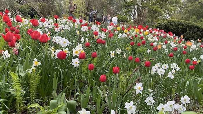 Shakespeare Garden Picture 3