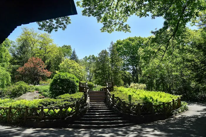 Shakespeare Garden Picture 6