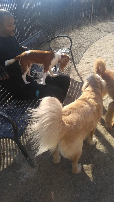 Andrew Haswell Green Dog Park Picture 1