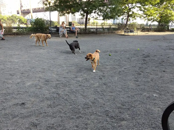 Andrew Haswell Green Dog Park Picture 2