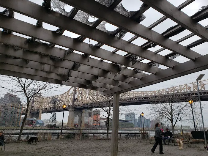 Andrew Haswell Green Dog Park Picture 6