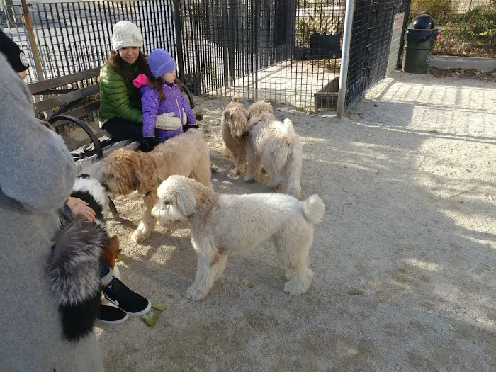 Andrew Haswell Green Dog Park Picture 9