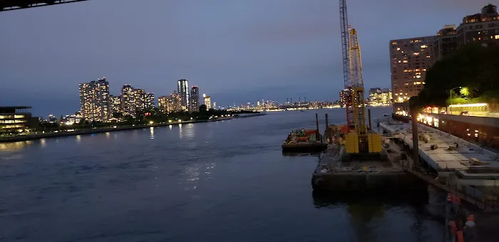 East River Esplanade Dog Run Picture 2