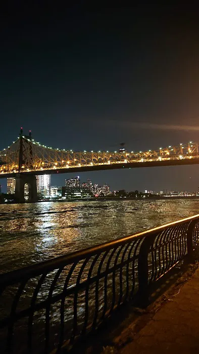 East River Esplanade Dog Run Picture 3