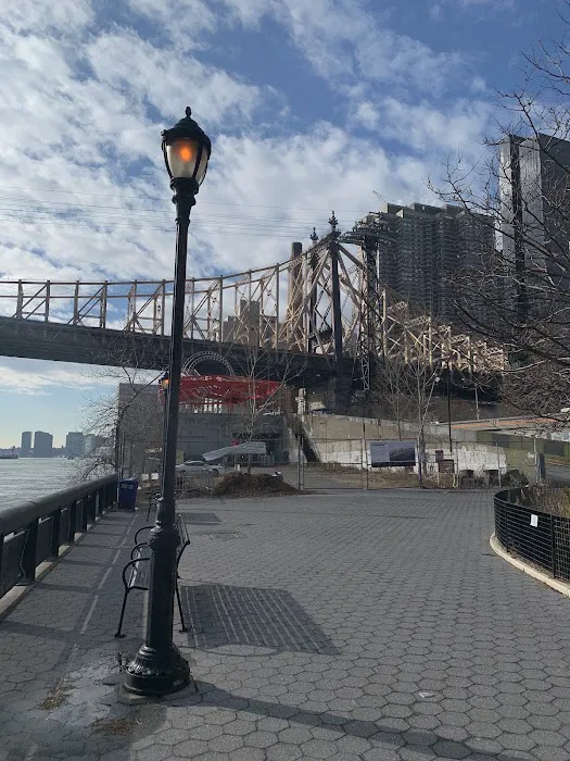 East River Esplanade Dog Run Picture 4