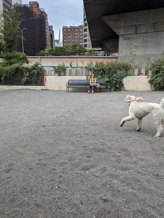 East River Esplanade Dog Run Picture 7