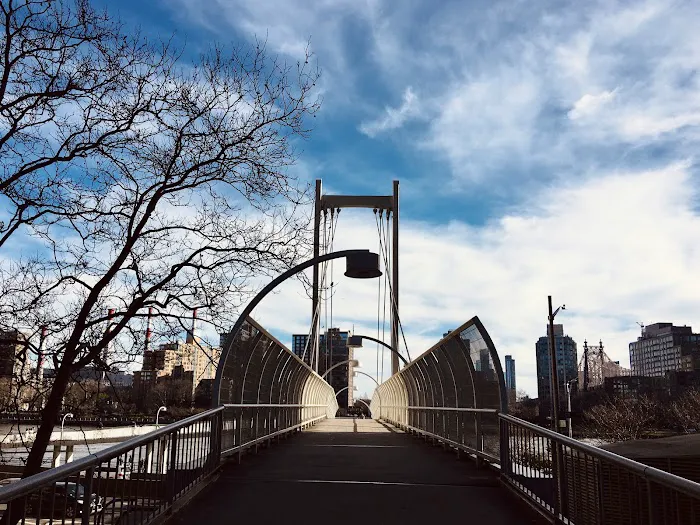 East River Esplanade Dog Run Picture 1