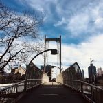 East River Esplanade Dog Run