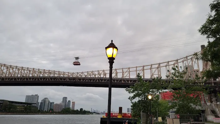 East River Esplanade Dog Run Picture 5
