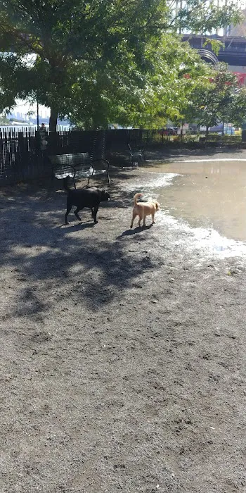 East River Esplanade Dog Run Picture 10