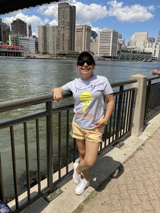 Roosevelt Island Viewpoint - Manhattan Side Picture 7
