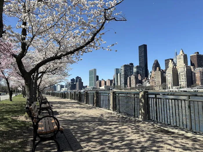 Roosevelt Island Viewpoint - Manhattan Side Picture 4