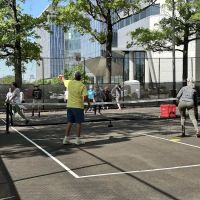 Roosevelt Island Pickleball Courts ico
