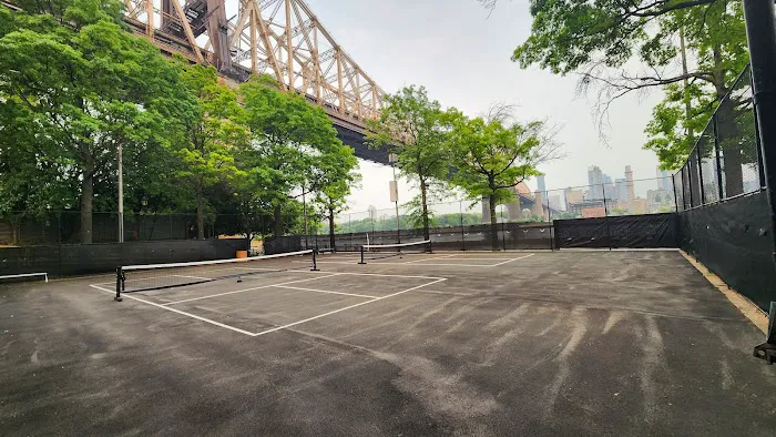 Roosevelt Island Pickleball Courts Picture 6