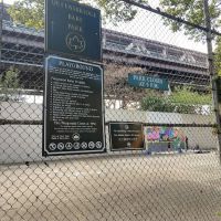 41st Road ico