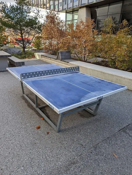 Outdoor PingPong table Picture 2