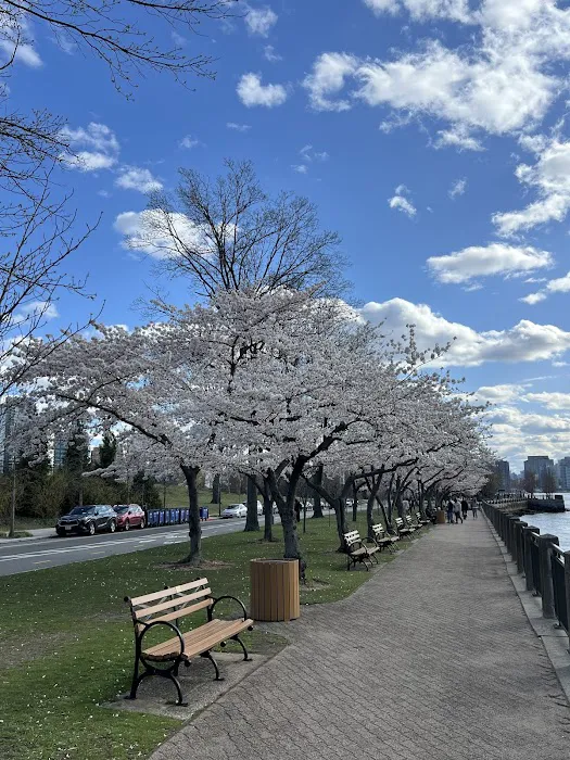 Roosevelt Island Picture 4