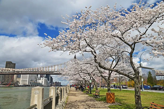 Roosevelt Island Picture 3