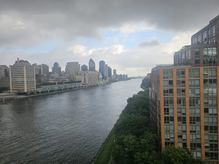 Roosevelt Island Picture 1