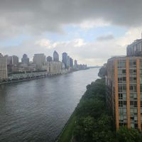 Roosevelt Island ico