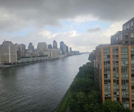 Roosevelt Island