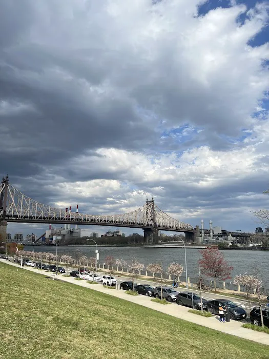Cornell Tech Campus Lawn Picture 2