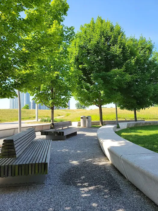 Cornell Tech Campus Lawn Picture 8