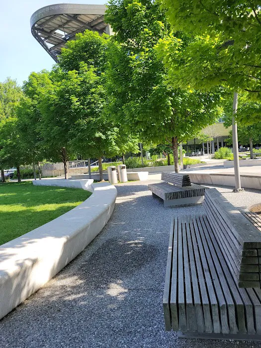 Cornell Tech Campus Lawn Picture 7
