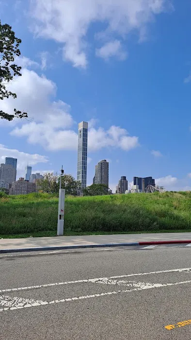 Cornell Tech Campus Lawn Picture 5