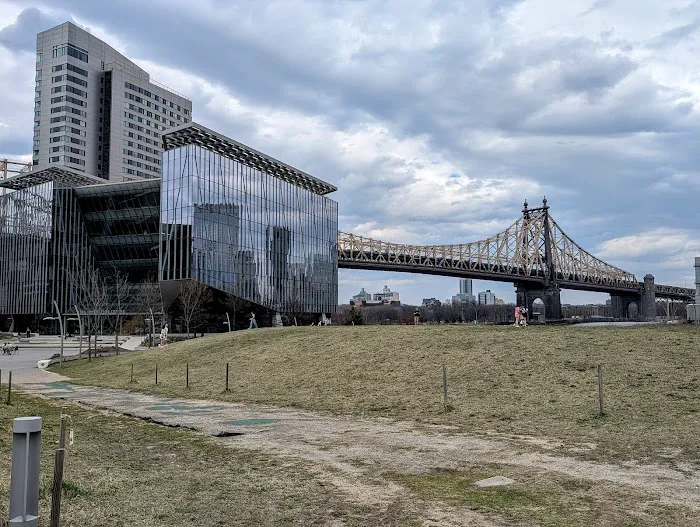Cornell Tech Campus Lawn Picture 4