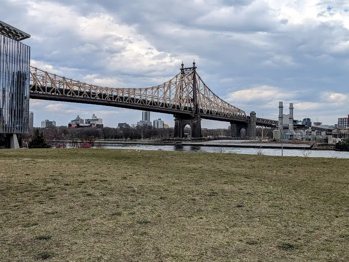 Cornell Tech Campus Lawn Picture 6