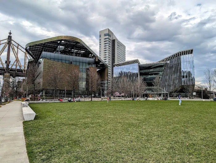 Cornell Tech Campus Lawn Picture 10