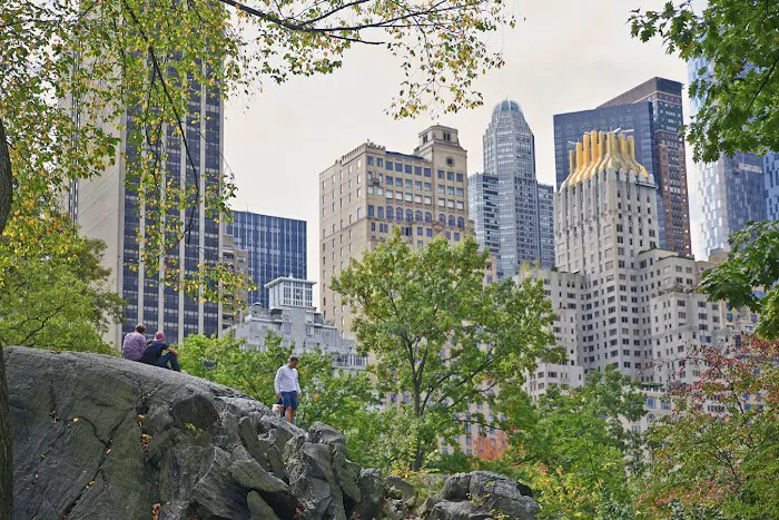 The Gardens Sonesta ES Suites New York Picture 2