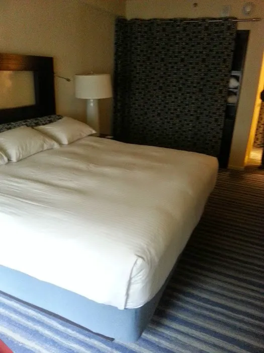 The Gardens Sonesta ES Suites New York Picture 8